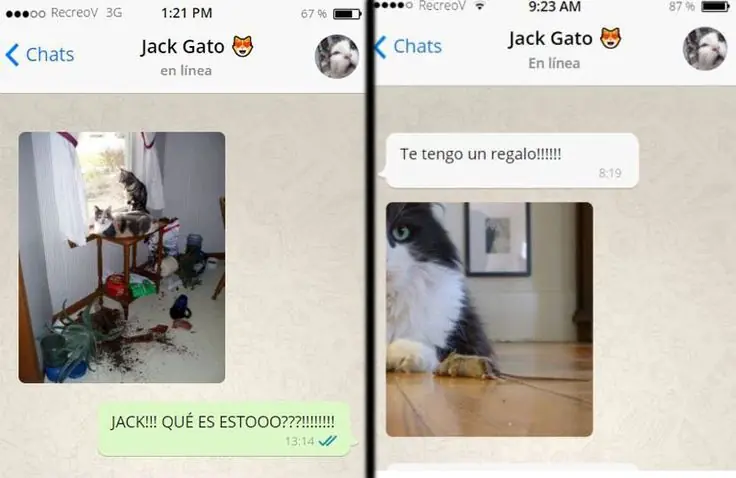 whatsapps