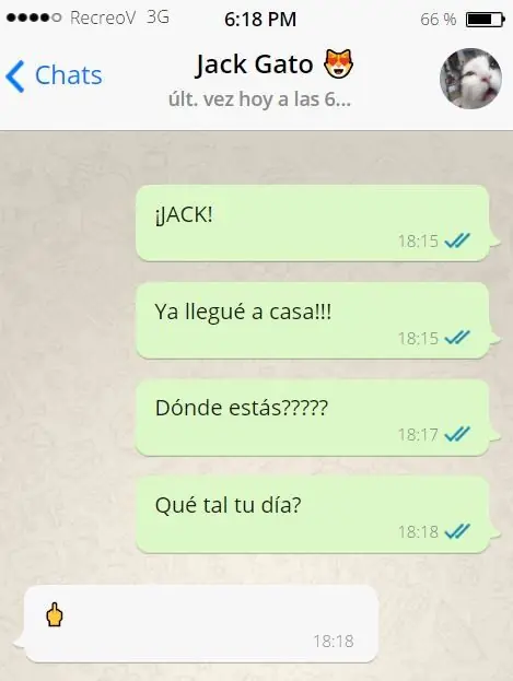 whatsapps
