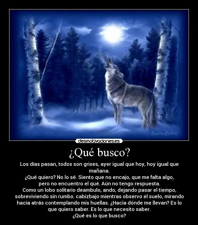 alone wolf violin