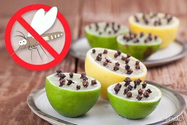 limon