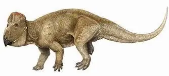 Dinosaurios
