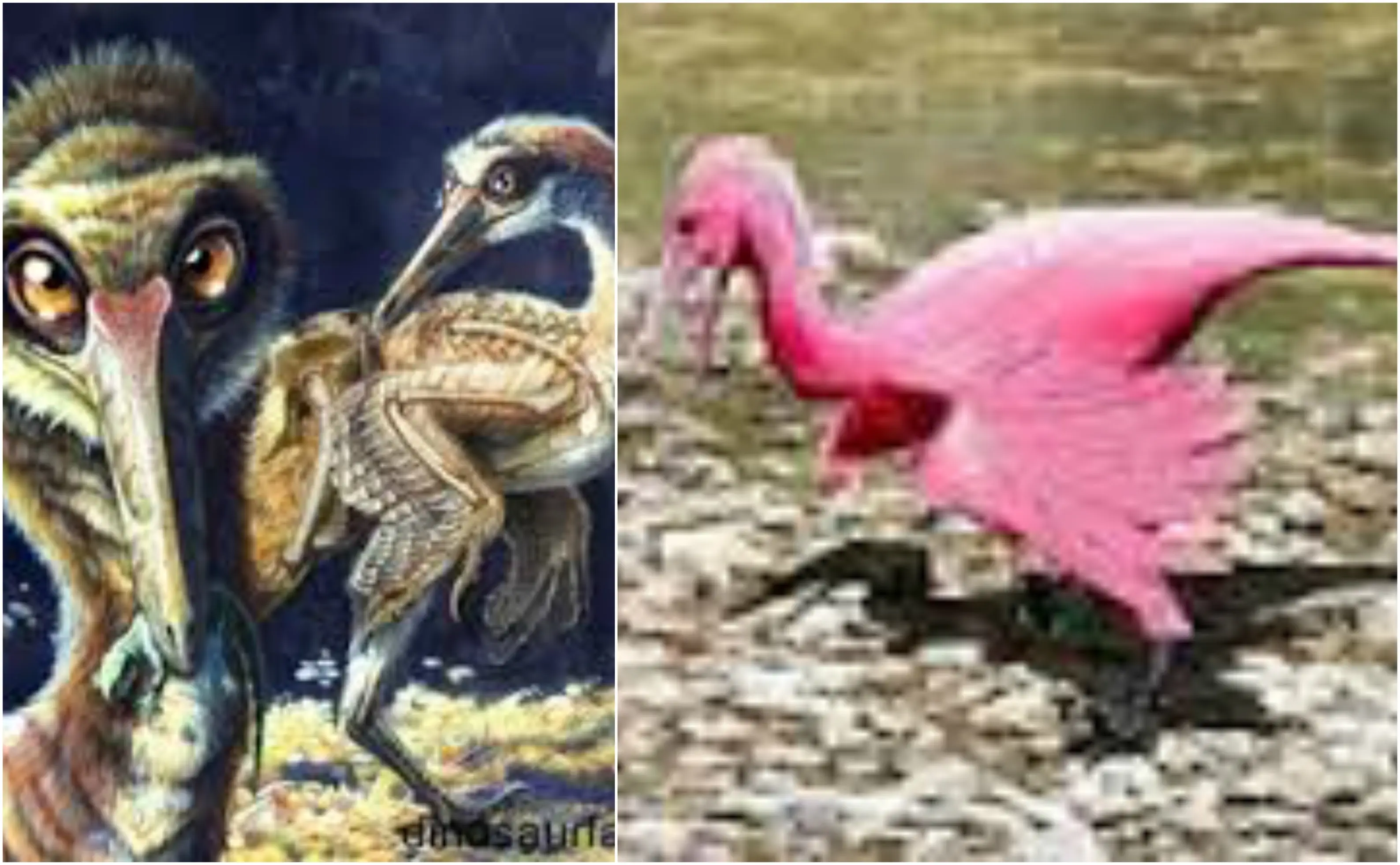 20 increíbles dinosaurios de América Latina