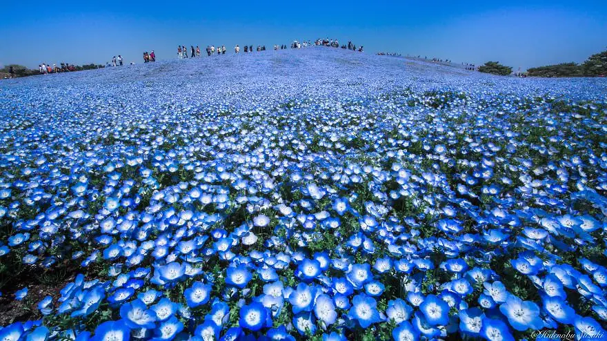 hermosos hermosos