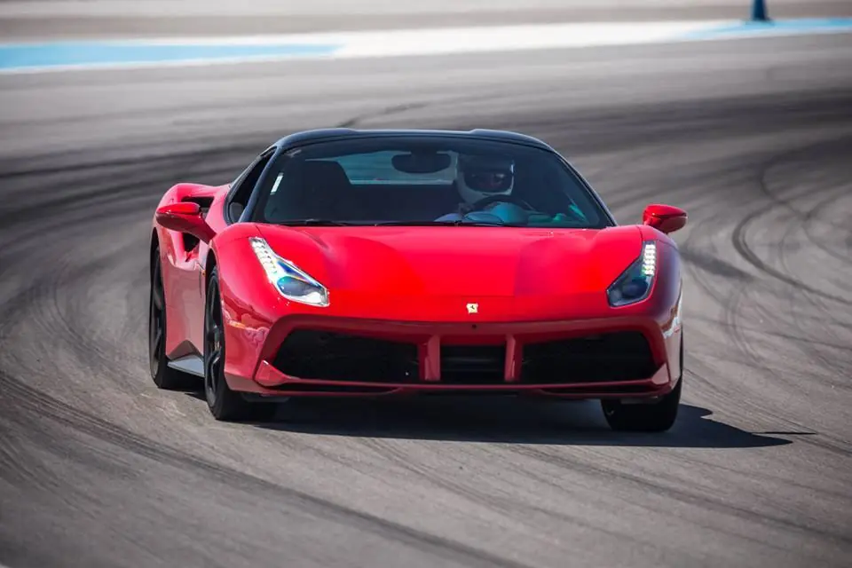 enzo