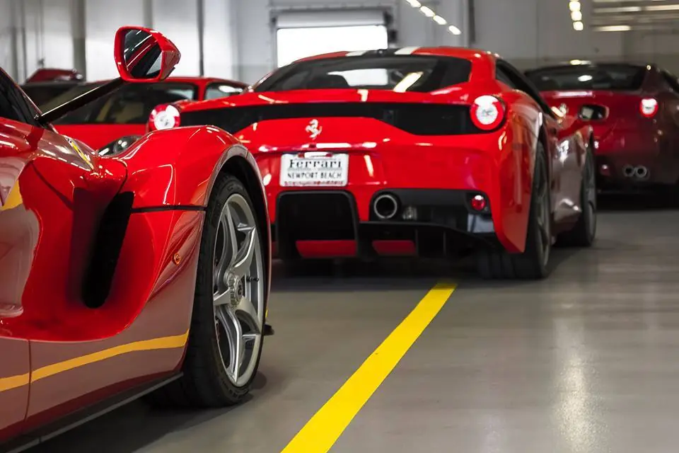 enzo