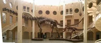 20 increíbles dinosaurios de América Latina