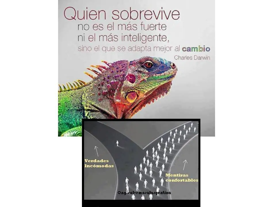 La ilogicidad del racismo