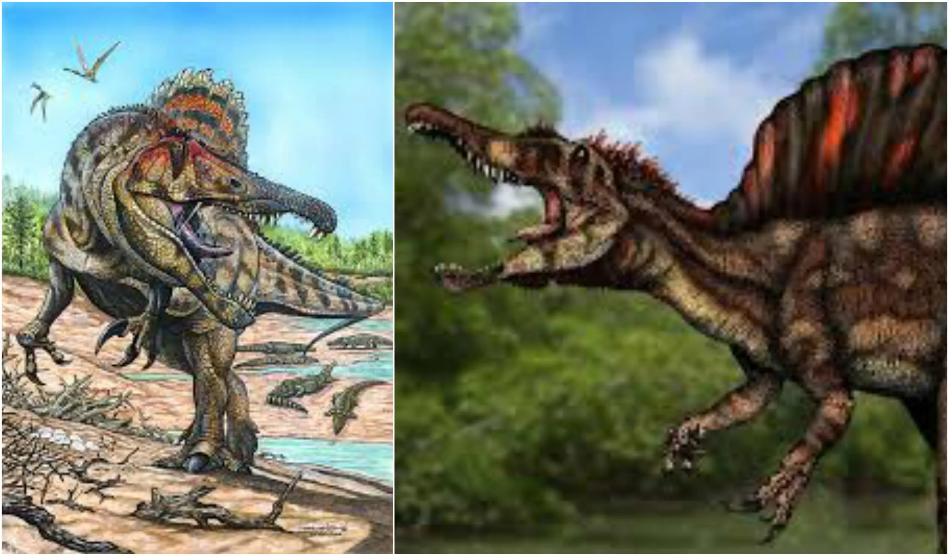 Dinosaurios Dinosaurios