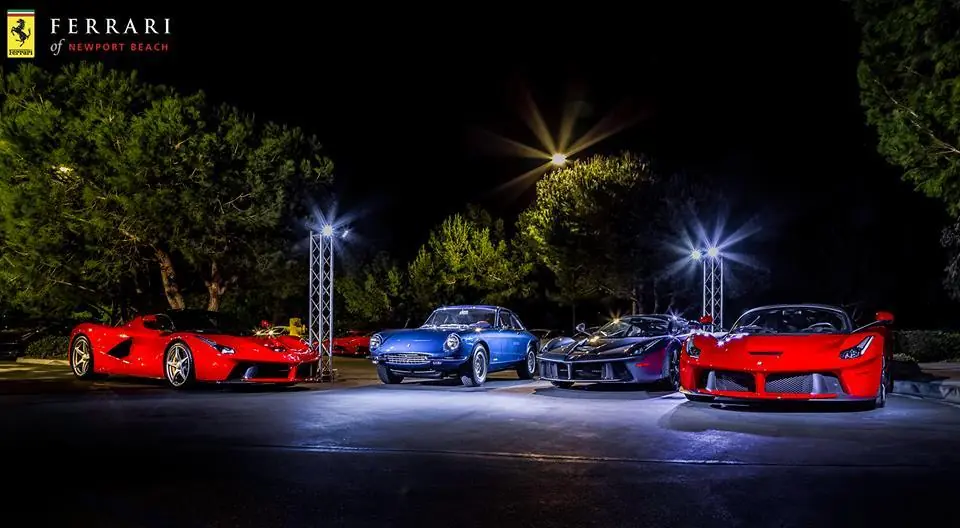 enzo