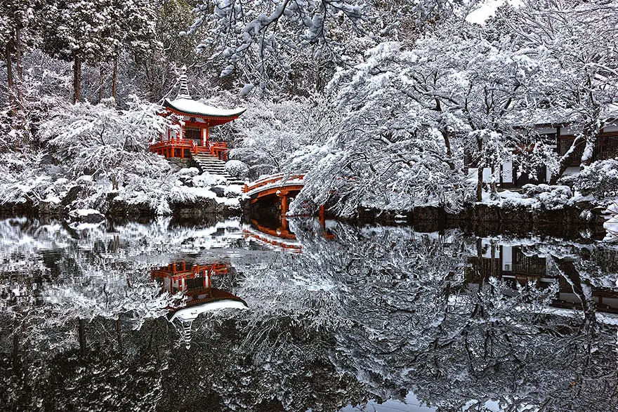 japon japon