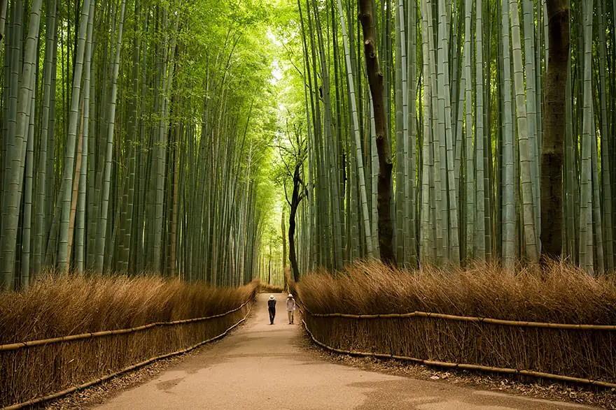 Hermosos lugares de Japón que debes conocer algún día