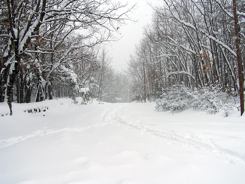 nieve