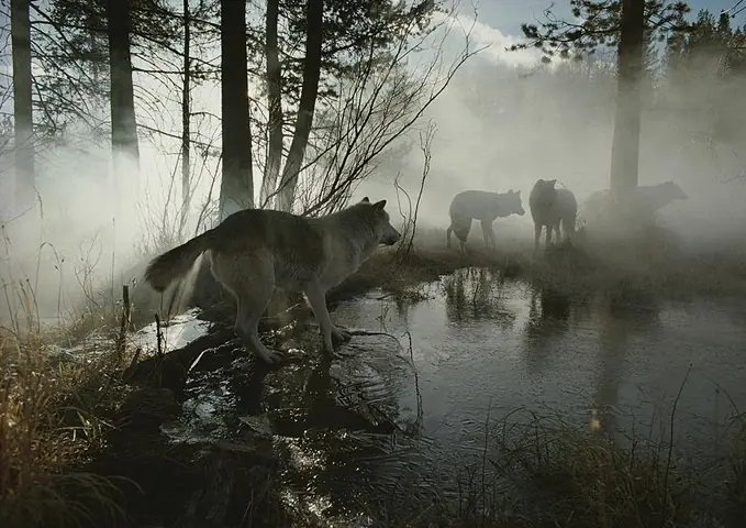 Siberia