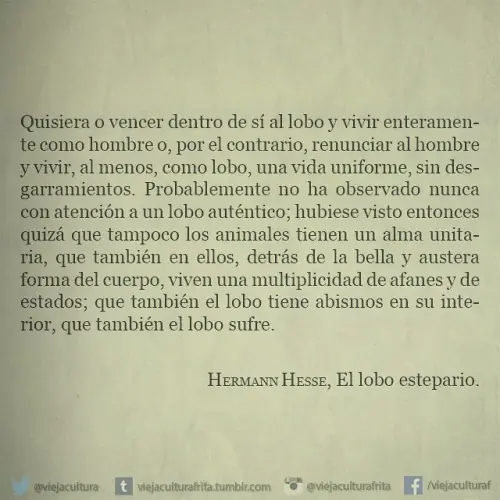 El lobo solitario de ojos azules