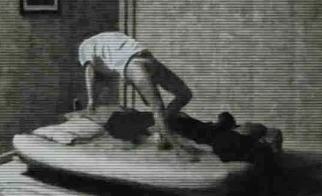 Taringa paranormal vol 6 (historias de terror reales)