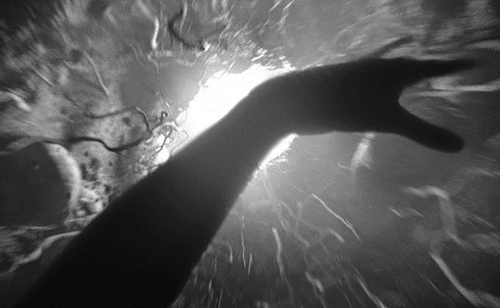 Taringa Paranormal