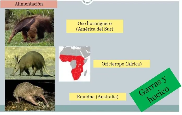 biologia