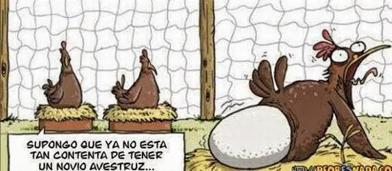imagenes