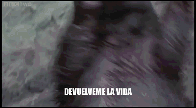 Los gifs mas divertidos pasa que te saco una sonrisa 103º