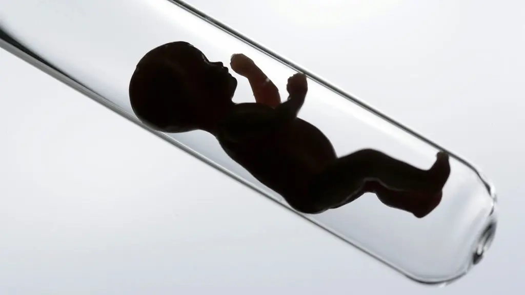 ¿Se acabaron los partos? Así tendremos hijos en el futuro