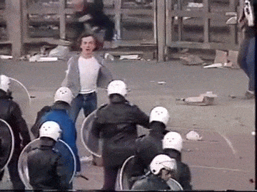 Los Gifs