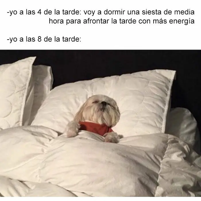 imagenes