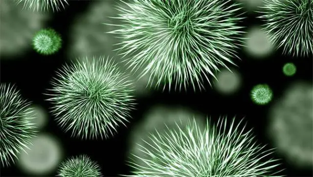 Ciencia falla miserablemente 10 fotos y su explicacion!