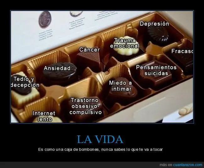 vinetas