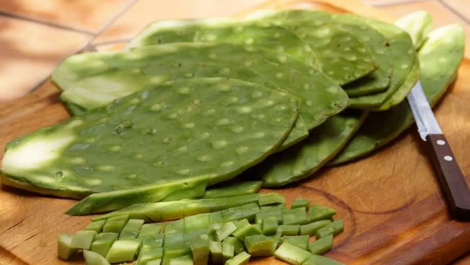 nopal