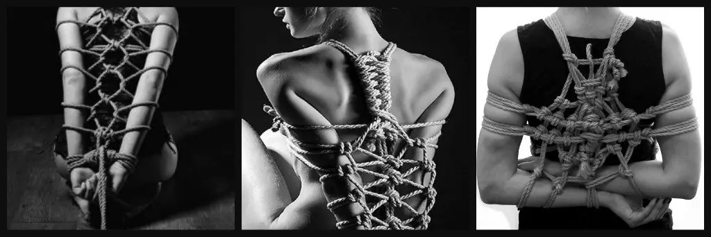 arte japones shibari
