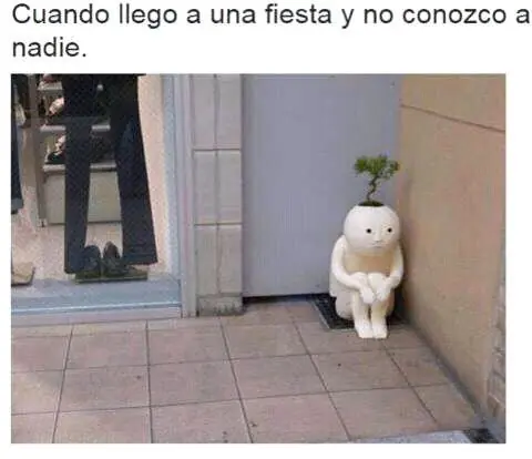 ¿Desvelado? Toma imágenes de humor #8