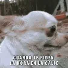 Memes para pasar el rato