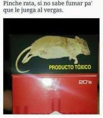 imagenes