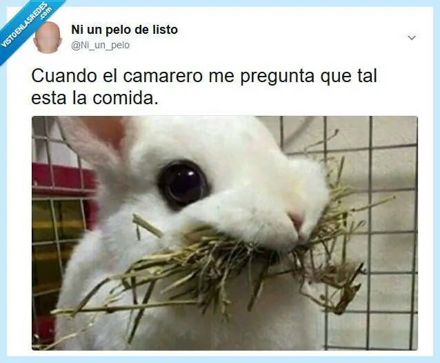 en las