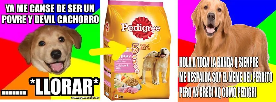 humor