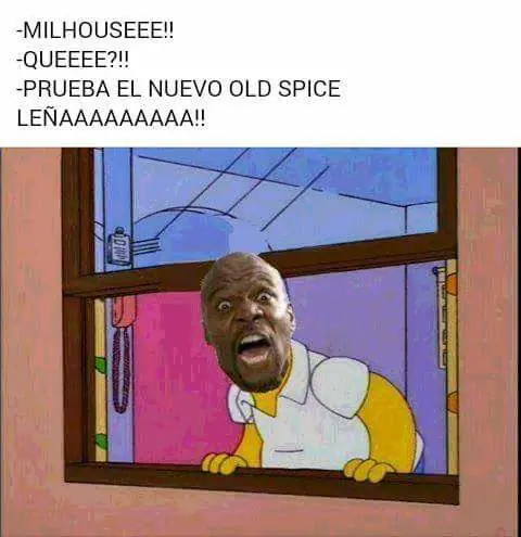 fotografias de humor