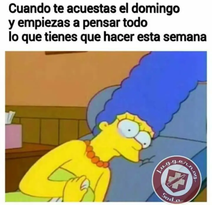 Pero mirate estas imagenes de humor papa