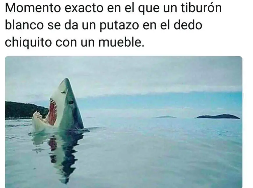 humor