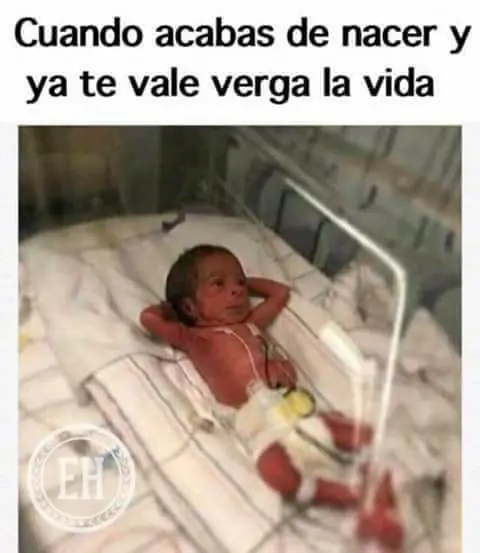 chistes
