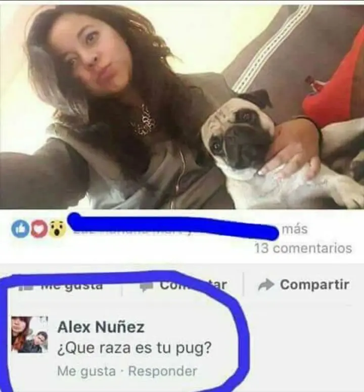 chistes