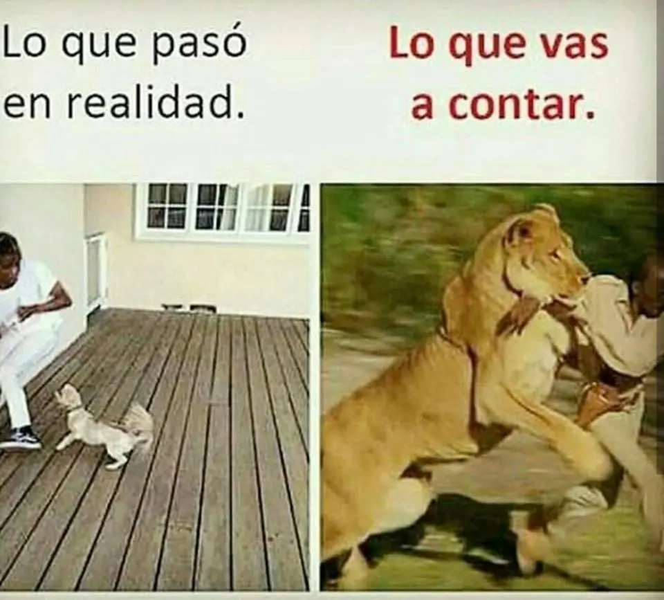 Pero mirate estas imagenes de humor papa