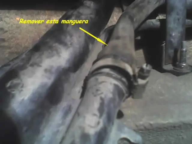 cao de combustible