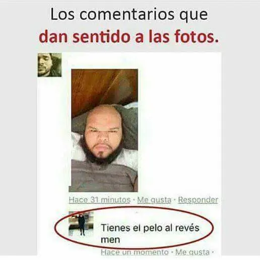 fotografias de humor