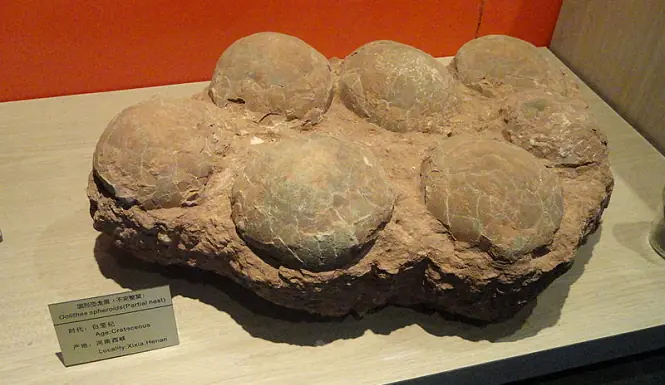 prehistoricos