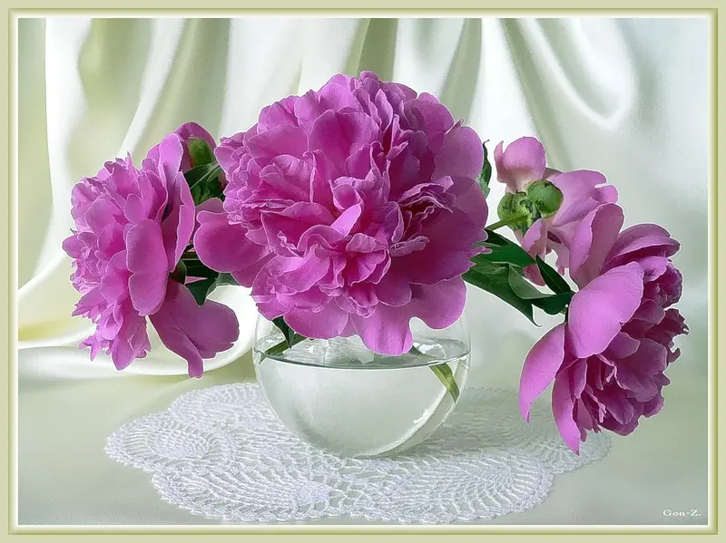 flores