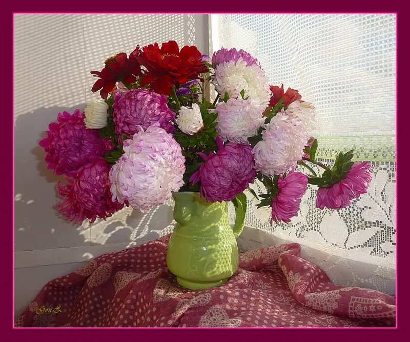 flores