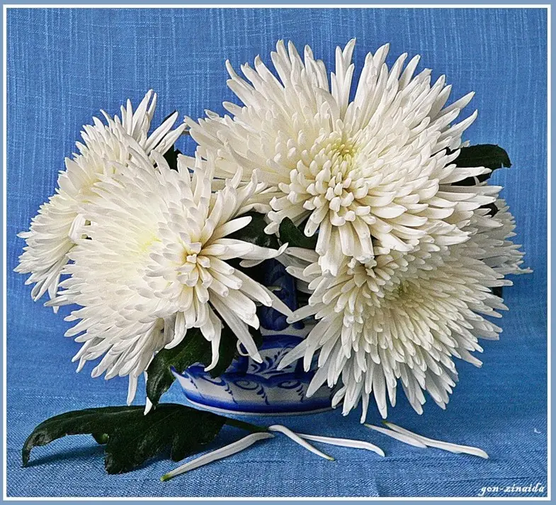 Ramos de Flores