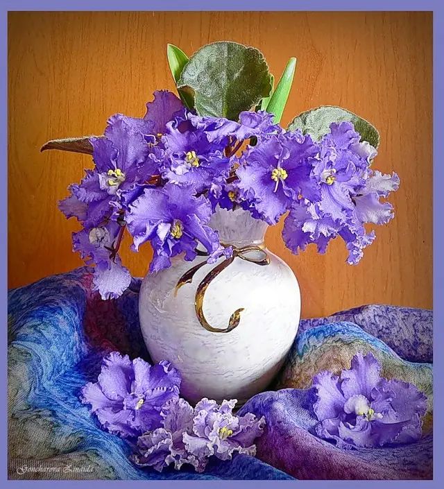 flores