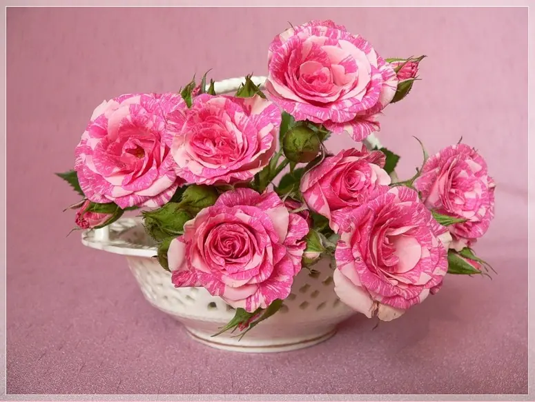 Ramos de Flores