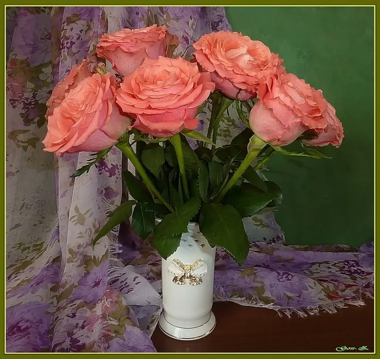 flores